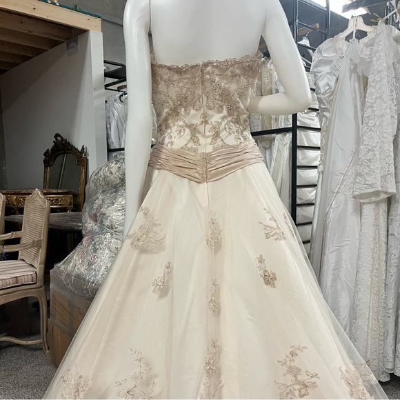 Champagne Wedding Dress - Picture 9 of 10
